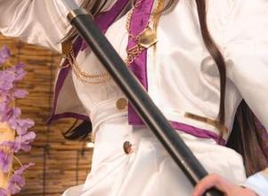 起司块wii的宫本武藏女仆合集：如果眼睛会犯罪…