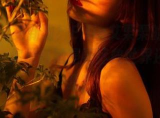 轰趴猫 – 更新啦！Ellie艾栗栗的‘天使’图包，你觉得她是要拯救世界还是……我？